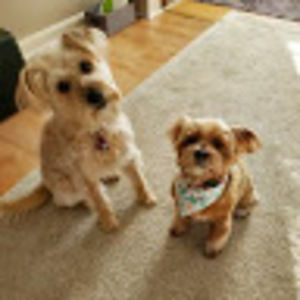 Meet your Posher, Marie